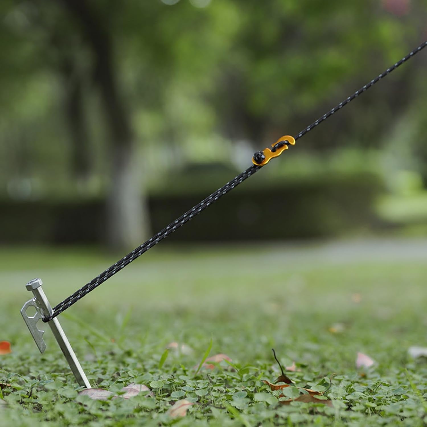 Reflective Guyline, Tent Cord Nylon Paracord Rope with Guyline Adjuster for Camping Tent, Outdoor Packaging (Black - 4 Pack)